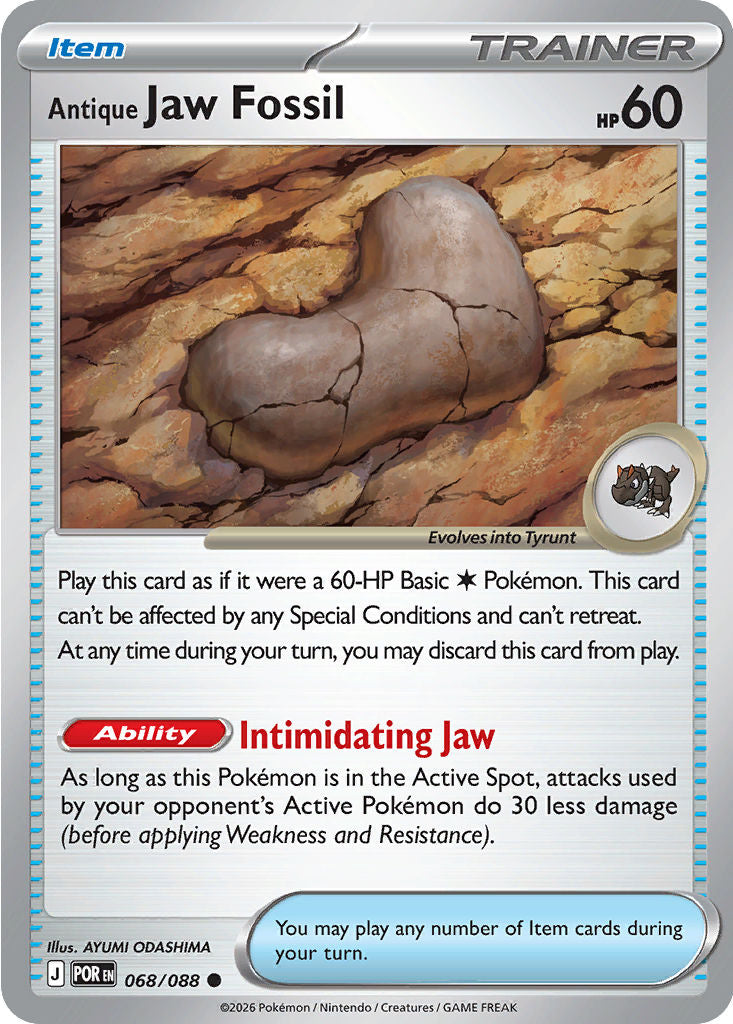 Antique Jaw Fossil - Perfect Order 068/088