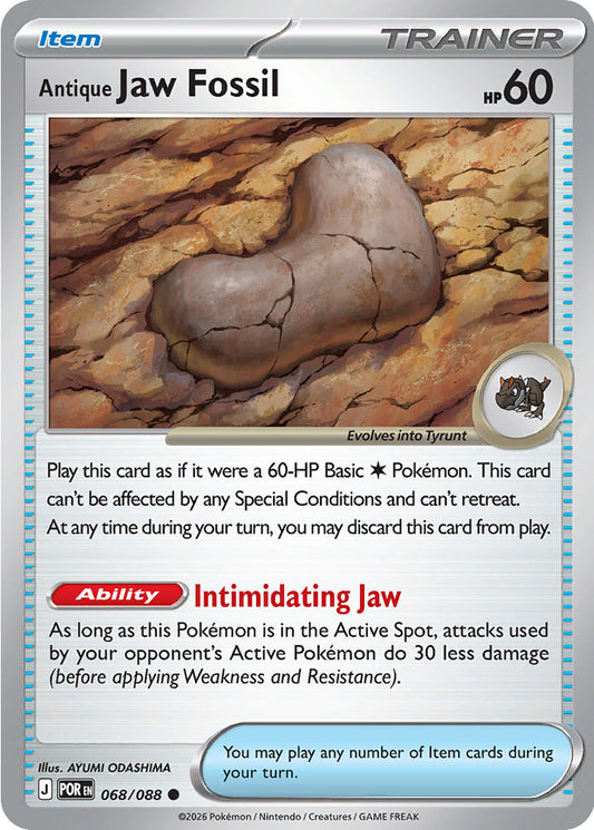 Antique Jaw Fossil - Perfect Order 068/088
