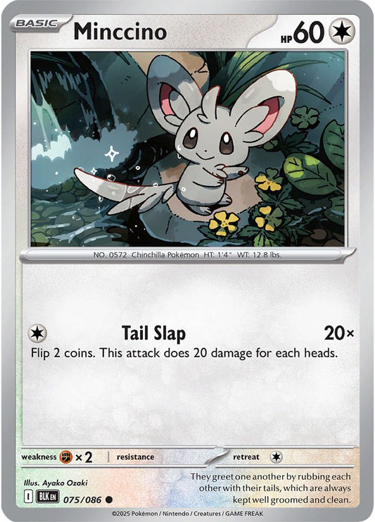 Minccino - Black Bolt 075/086